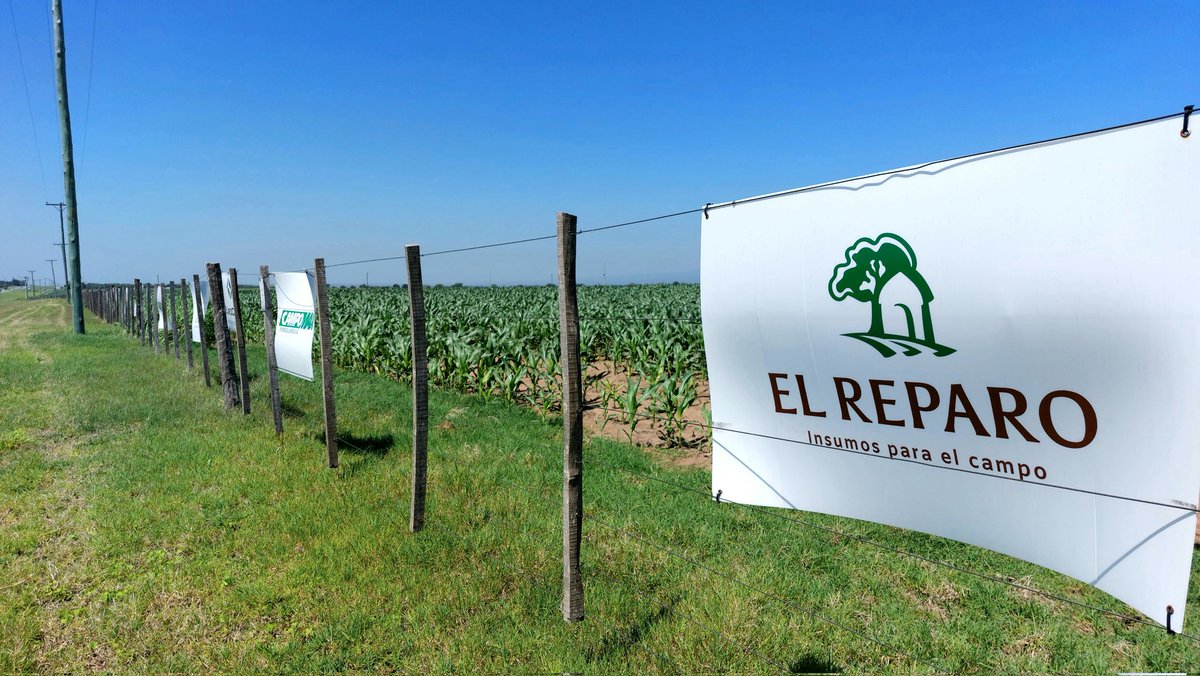 javicalam's tweet photo. #lideresenrelacionamiento De recorrida junto al equipo de #ElReparo @ErnestoCarreno7 y Nico #Selecta #HayEquipo analizando la respuesta 🌧 + fertilización Ensayo @LaTijeretaMaiz LT 🌽🚀 + seguimiento CCI de @FieldViewArg https://t.co/qqr1dIVRNE