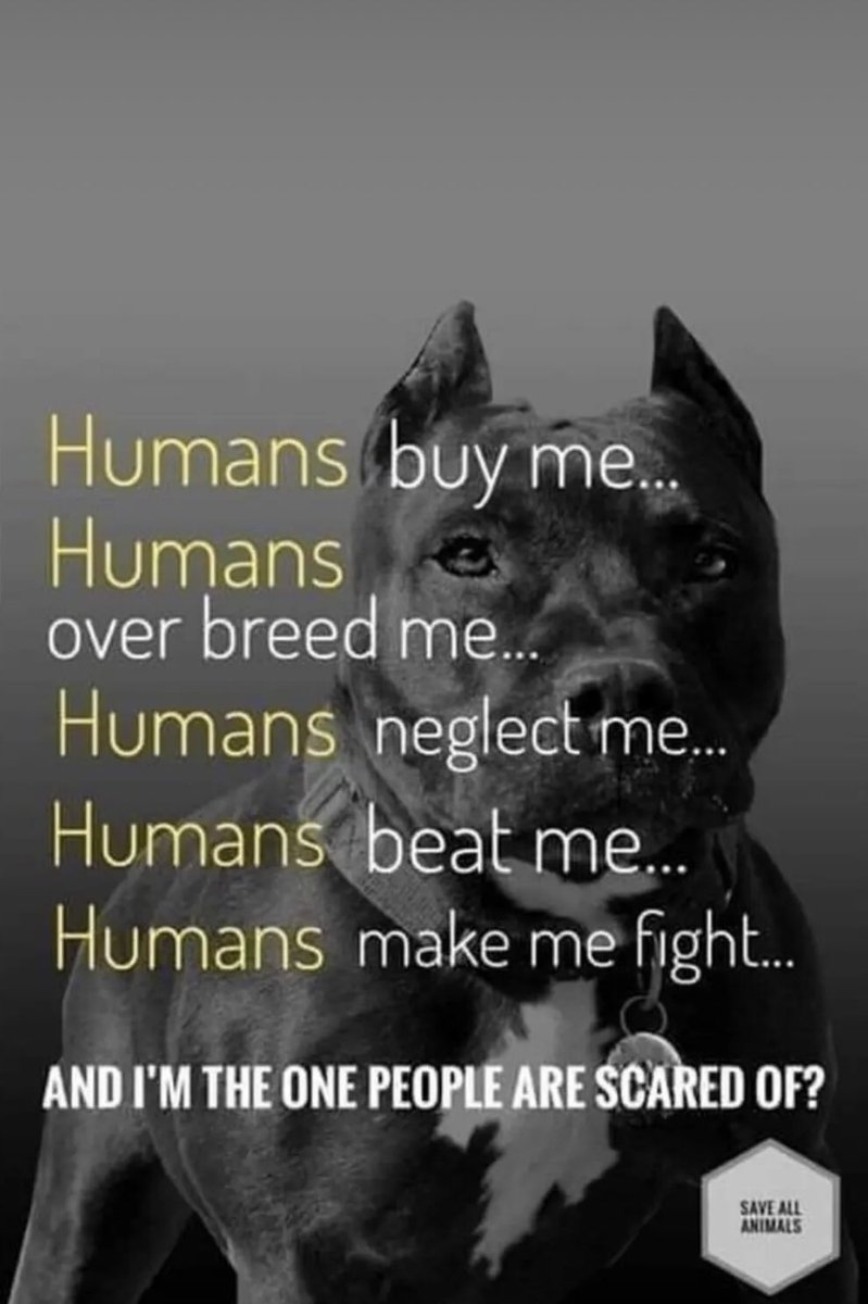 Humans buy me....Humans over breed me....Humans neglect me...