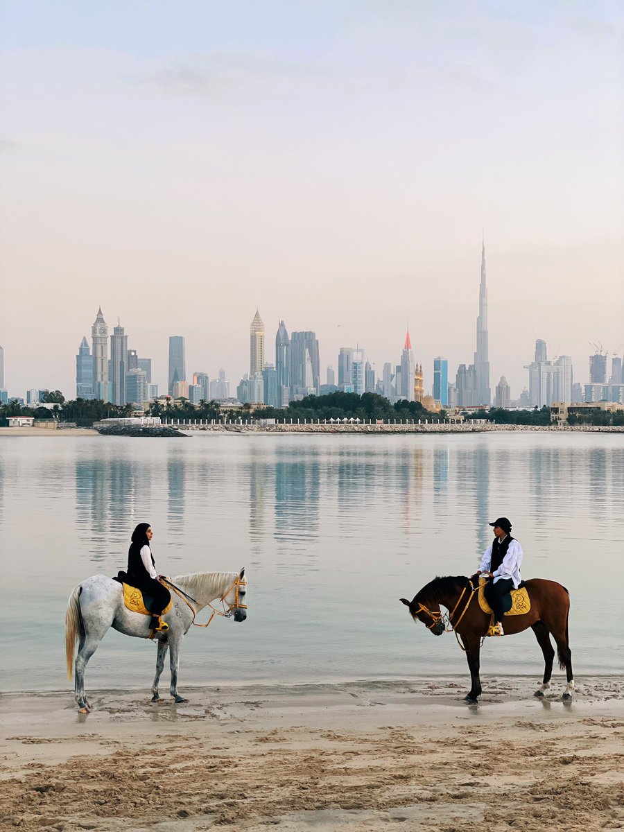 Fatemaalkamali's tweet photo. Sunset horse riding on the beach in Dubai— dreamlike experience 🐎 💕 https://t.co/wZExto6bfc