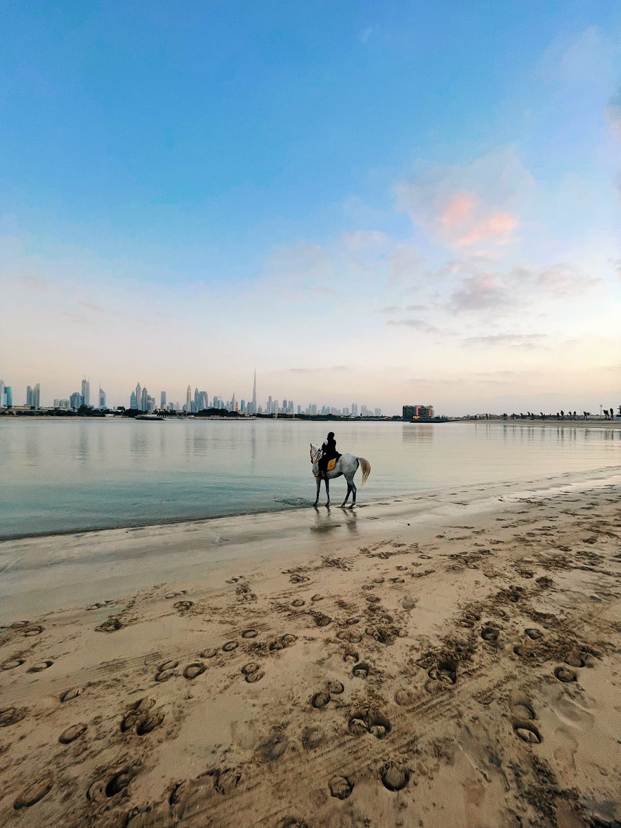Fatemaalkamali's tweet photo. Sunset horse riding on the beach in Dubai— dreamlike experience 🐎 💕 https://t.co/wZExto6bfc