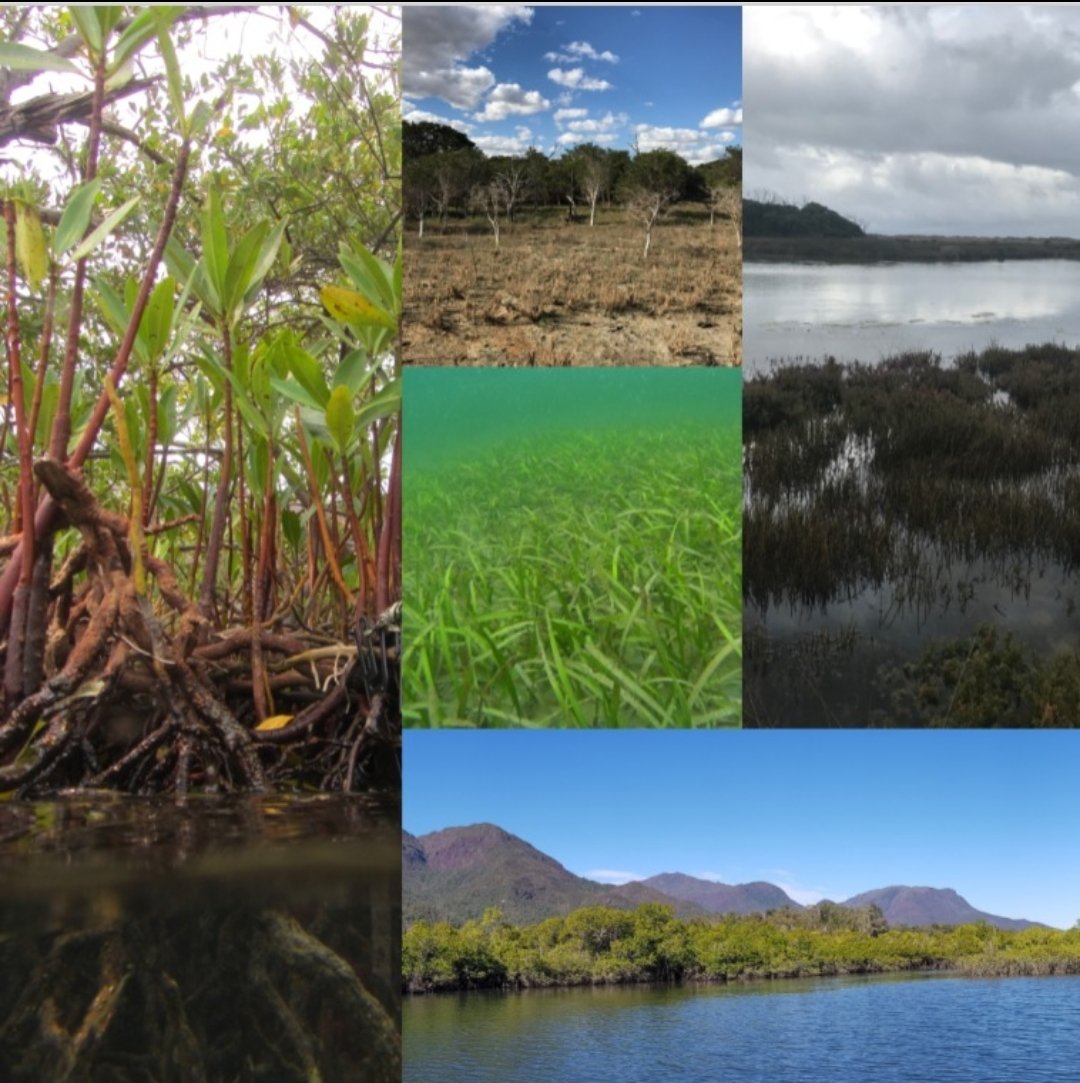 cssalinas1's tweet image. #wetlands are the home of many creatures and provide us tooooo many services. We need to protect them and respect them. Potential future Nature-base solutions.  Save the #wetlands. #WetlandsDay