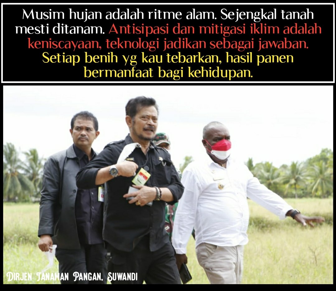 swandi33's tweet photo. Musim hujan, sejengkal tanah harus bisa kita manfaatkan untuk ditanami https://t.co/SS5F5uKHet