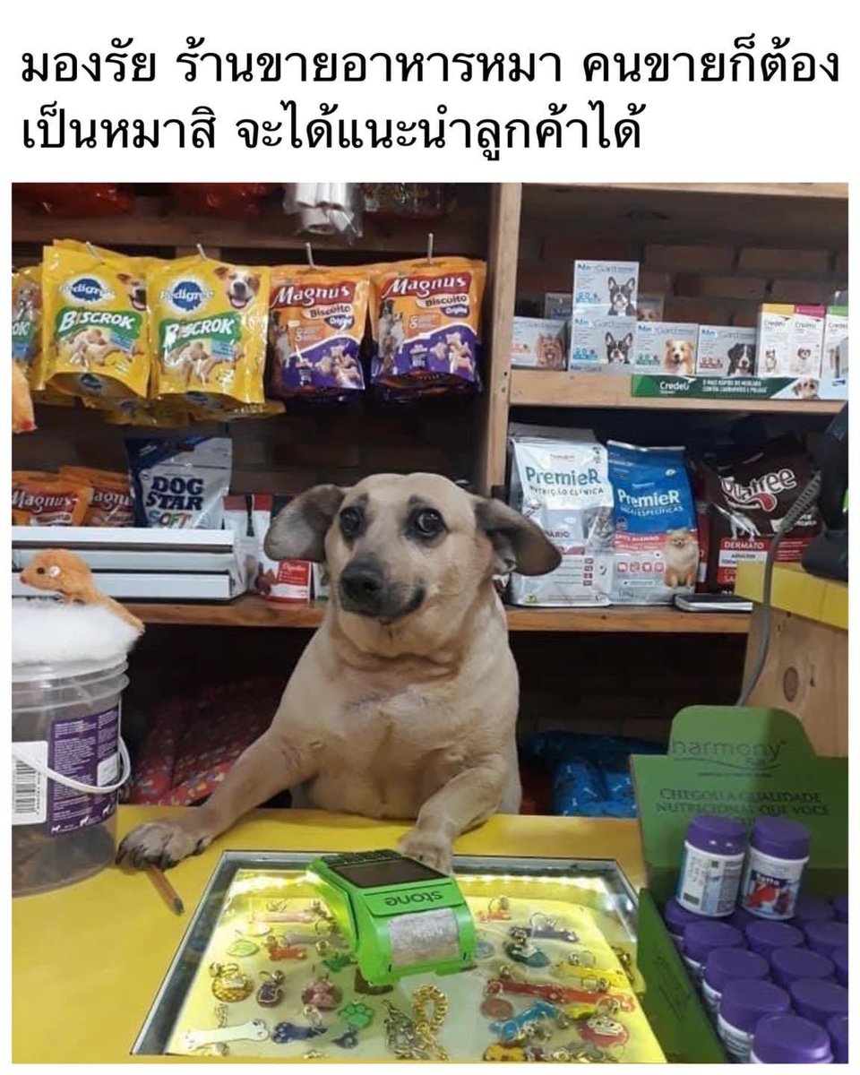 ขำ55555