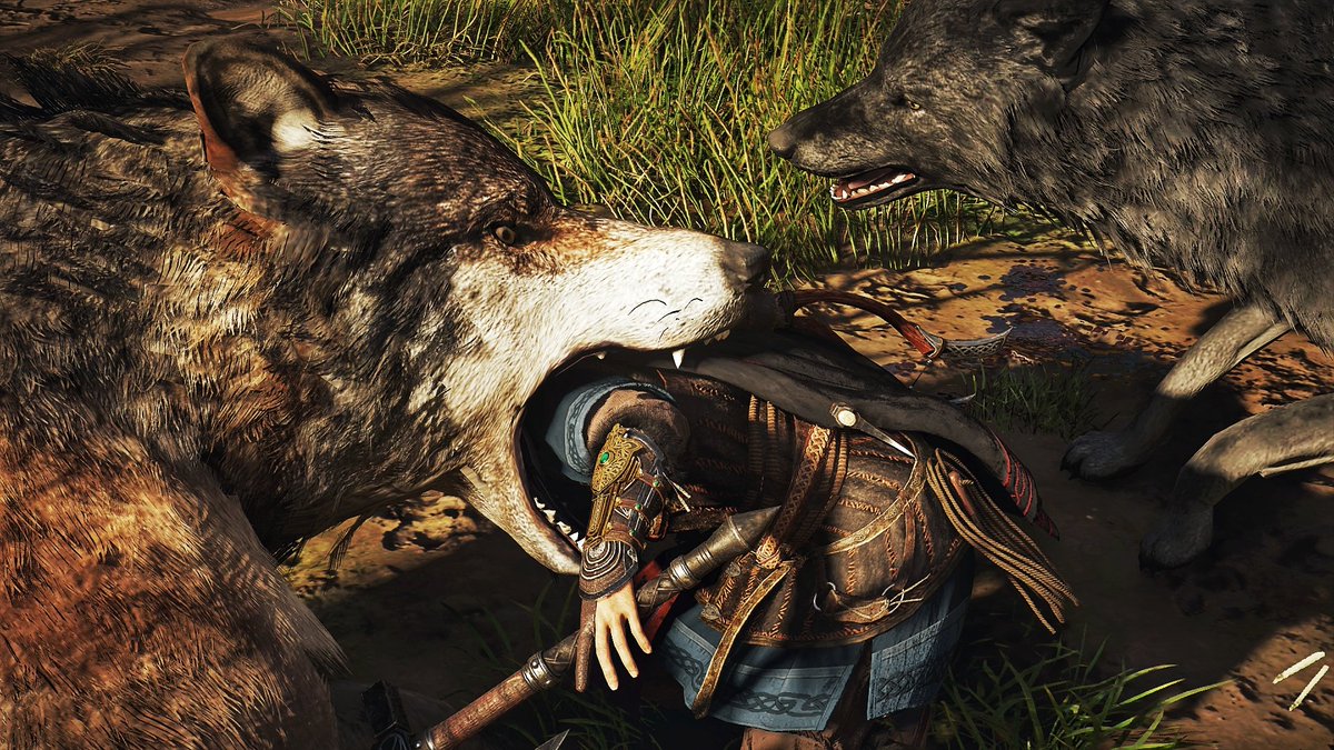 SkyakinGamer's tweet photo. The Corpse Feeders
#WolfkissedWednesday
#vgpunite #eivor #acvalhalla #gameviolence #ps4share #monsterwolf https://t.co/QFeXXUApEv
