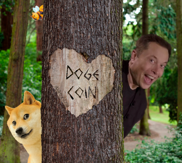ArroyoXIII's tweet photo. Good Night #dogefam 
Keep having fun
Love is in the air...
Much love!💛🖤💛 https://t.co/oReJSTIYsK
