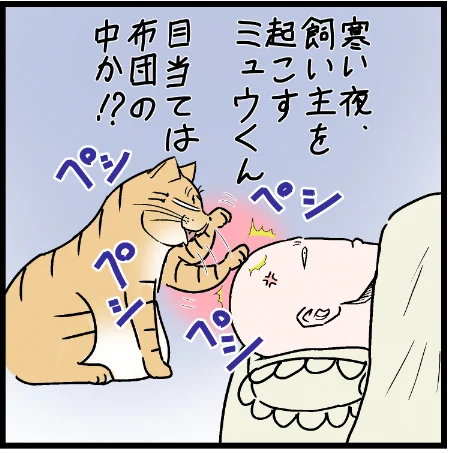 猫の要求に応えたら・・・w #ニャンコ #まんが #猫 #猫あるある #猫漫画 #ペット #飼い主 #エッセイ漫画 #キャット #ねこのいる生活 #4コマ 