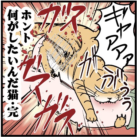 猫の要求に応えたら・・・w
 #ニャンコ #まんが #猫 #猫あるある #猫漫画 #ペット #飼い主 #エッセイ漫画 #キャット #ねこのいる生活 #4コマ 