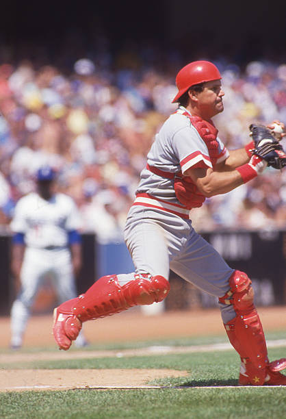 SABR BioProject tweet media