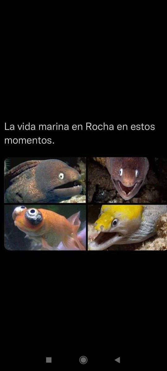 Marco Quiñones (@markito65) on Twitter photo 