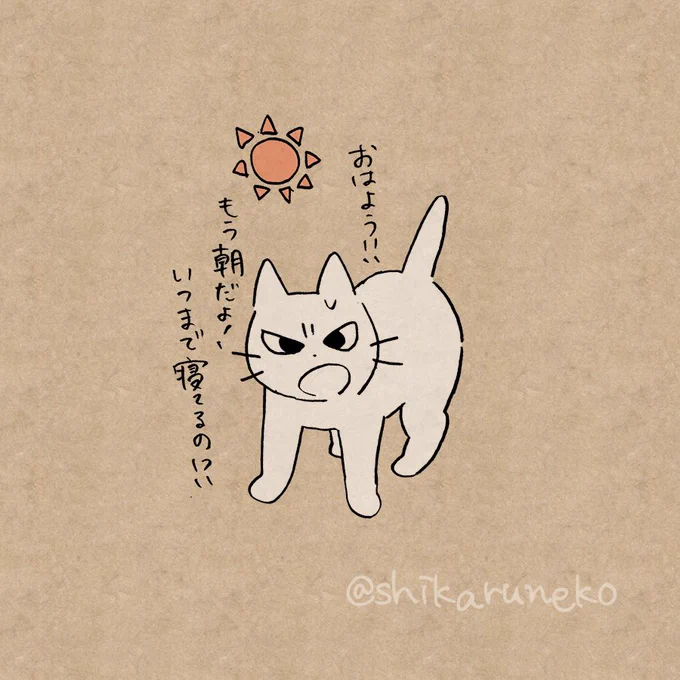 なかなか布団から出られない人を叱ってくれる猫 