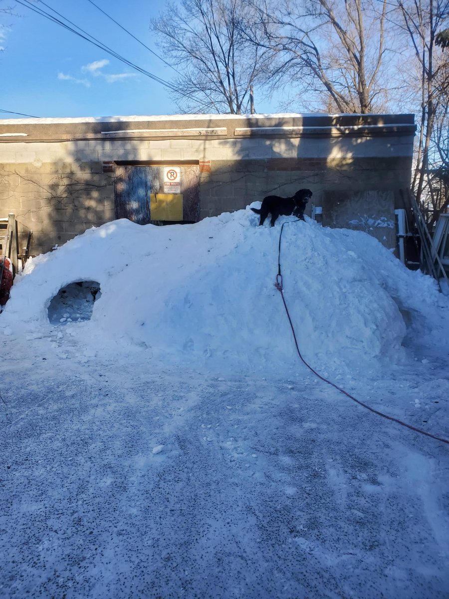 Snow fort made by our colleague <a href="/levymclaughlin/">Rachel Levy-McL</a> and her partner. They're getting ready for tonight's snow fall ❄️
