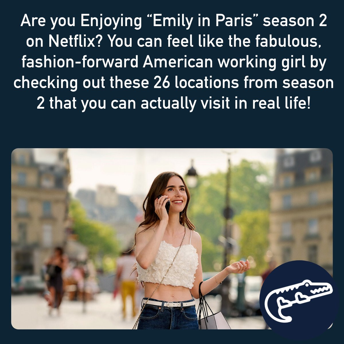 I'm an Alligator (@i_alligator) on Twitter photo 