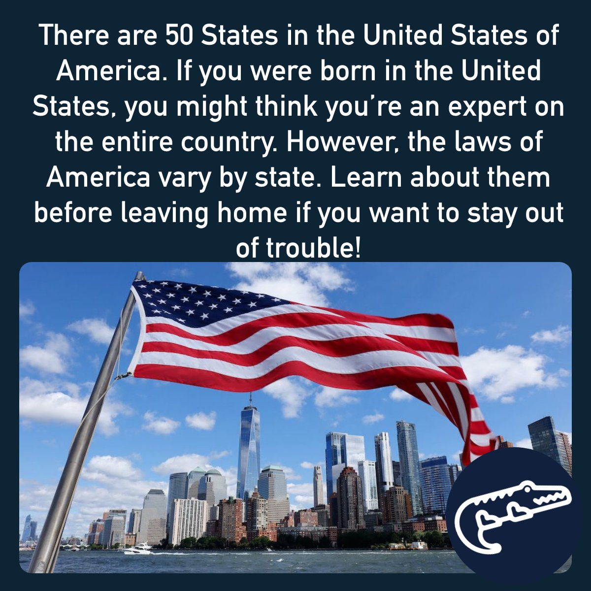 I'm an Alligator (@i_alligator) on Twitter photo 