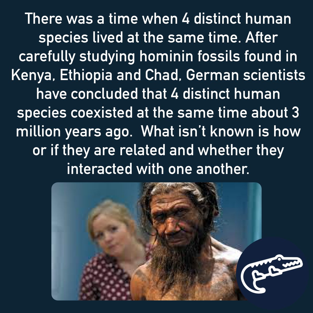 I'm an Alligator (@i_alligator) on Twitter photo 