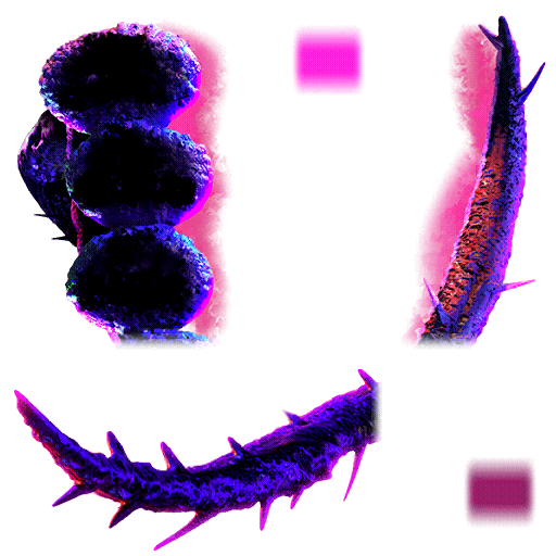 WWE Supercard Resources tweet media