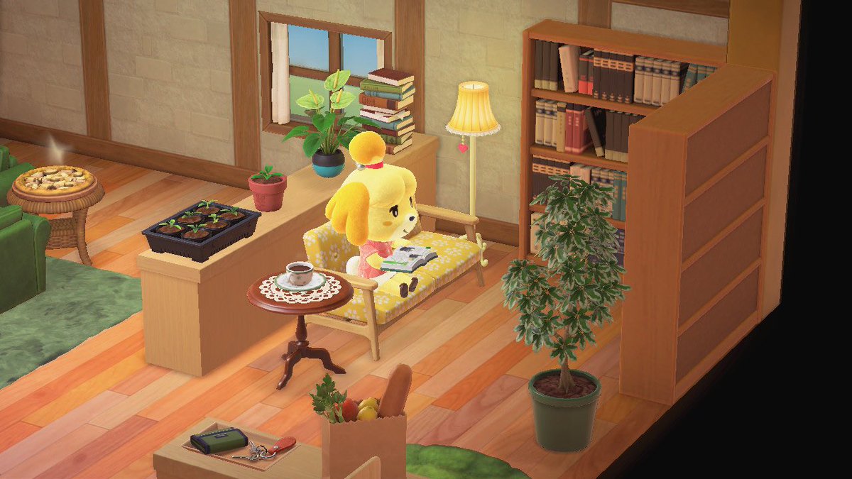 Librarian_Luke's tweet image. Some pics from the remodelling of Isabelle’s Rooftop Spa and holiday home. #HappyHomeParadise #isabelle #lottie #poppy #digby #pelly