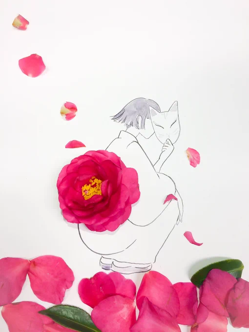 オハヨー 