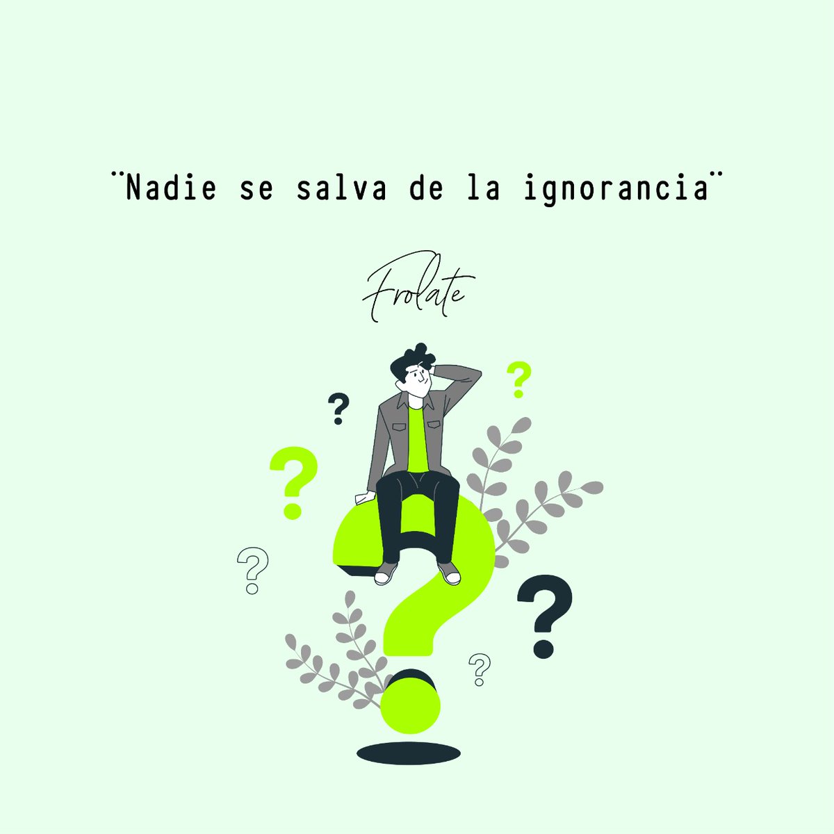 Zfrolate tweet media