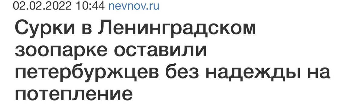 Это Пётр I в далёком 1703 году оставил будущих петербуржцев без малейшей надежды на тепло, а не сурки
