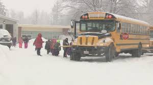 Anne Broeckel tweet media