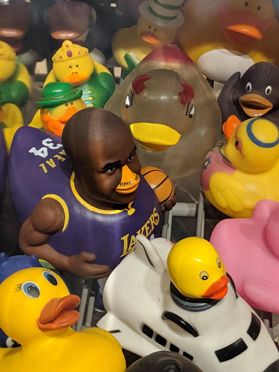 JJax1248's tweet photo. @SHAQ it looks like you and @DazedDucks were meant to be come on man #SOL #NFT https://t.co/mjNk4ZKn6W