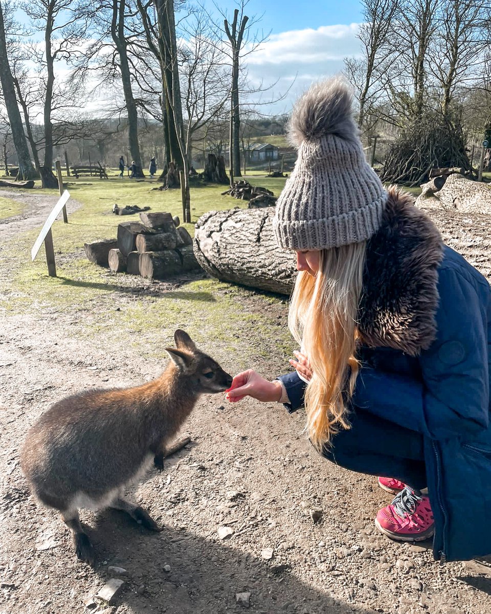 I’ve just realised my last 2 birthdays have involved feeding animals! I am so down for this to be a new birthday tradition 😍 do you have any birthday traditions?