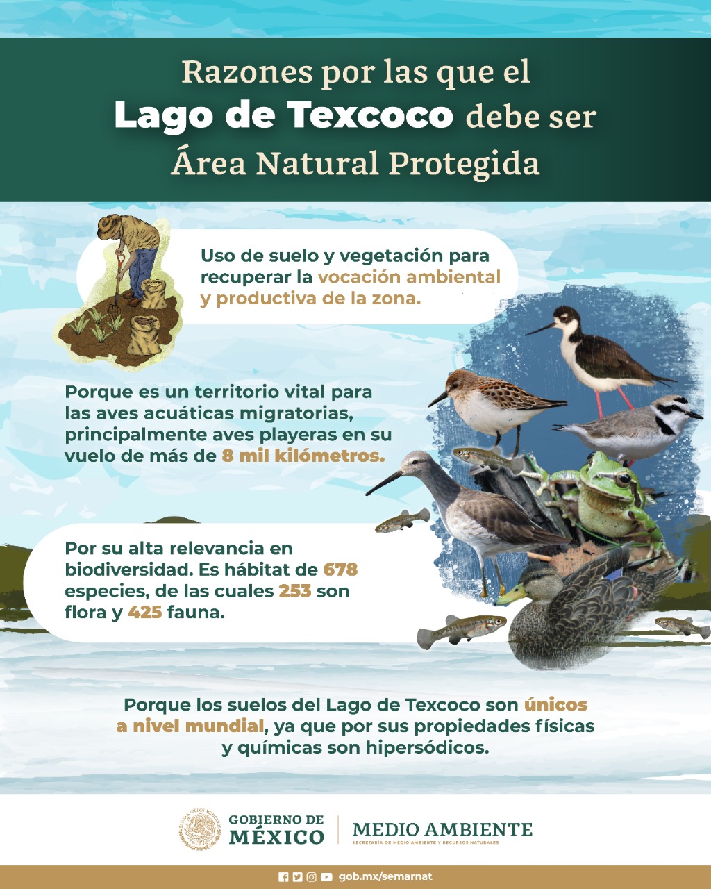 Conagua on Twitter: Conagua on Twitter: