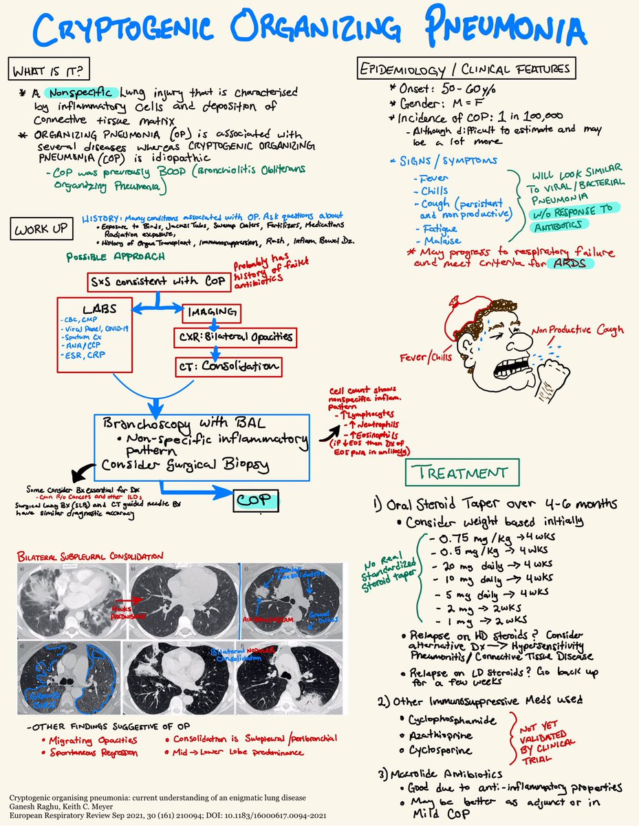 Daniel Garner (@critcultivation) on Twitter photo #Organizingpneumonia is supposed to be pretty rare. However, it seems like I’ve been seeing it every few months. Are others seeing this too? <a href="/Crit_Care/">Critical Care</a> , <a href="/PulmCrit/">𝙟𝙤𝙨𝙝 𝙛𝙖𝙧𝙠𝙖𝙨 💊</a> , <a href="/critconcepts/">Critical Concepts</a> This was my attempt at learning more about COP. Also, BOOP is more fun to say
#lungs #MedTwitter #Organizingpneumonia is supposed to be pretty rare. However, it seems like I’ve been seeing it every few months. Are others seeing this too? <a href="/Crit_Care/">Critical Care</a> , <a href="/PulmCrit/">𝙟𝙤𝙨𝙝 𝙛𝙖𝙧𝙠𝙖𝙨 💊</a> , <a href="/critconcepts/">Critical Concepts</a> This was my attempt at learning more about COP. Also, BOOP is more fun to say
#lungs #MedTwitter