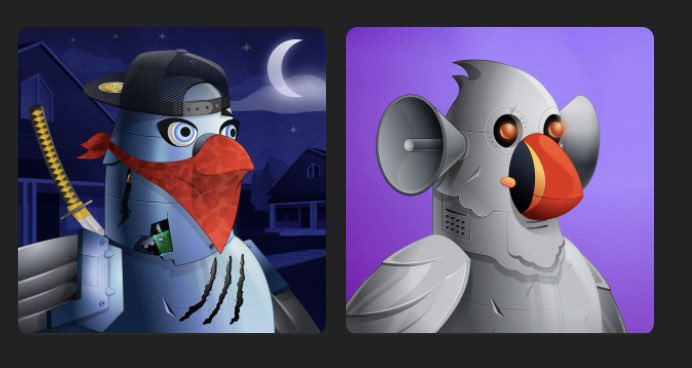 Crypto Gauner tweet media