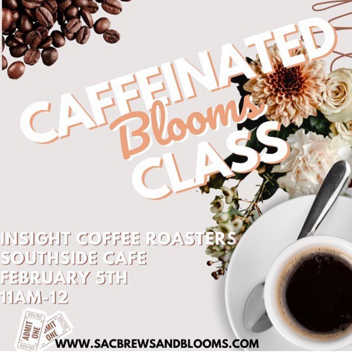 Insight Coffee tweet media