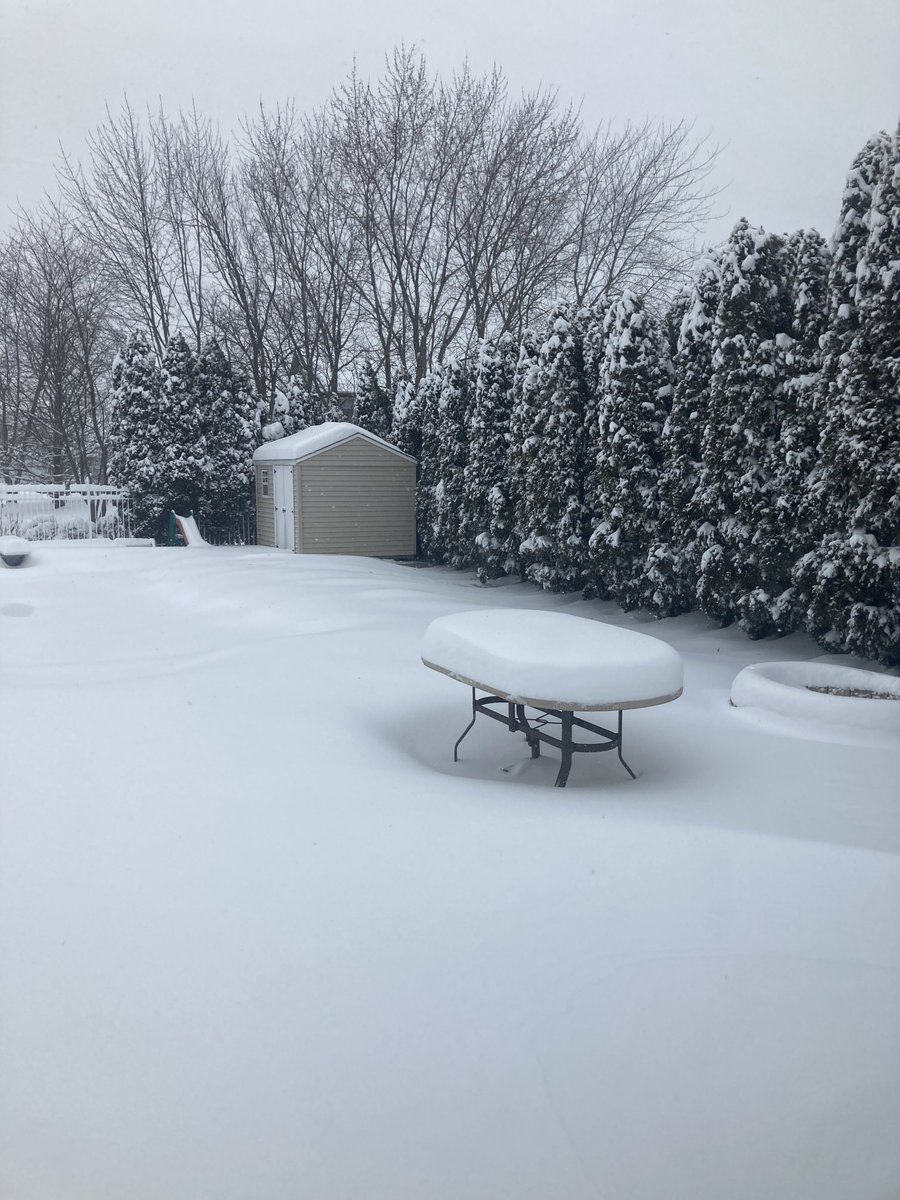 Dennis Harms tweet media