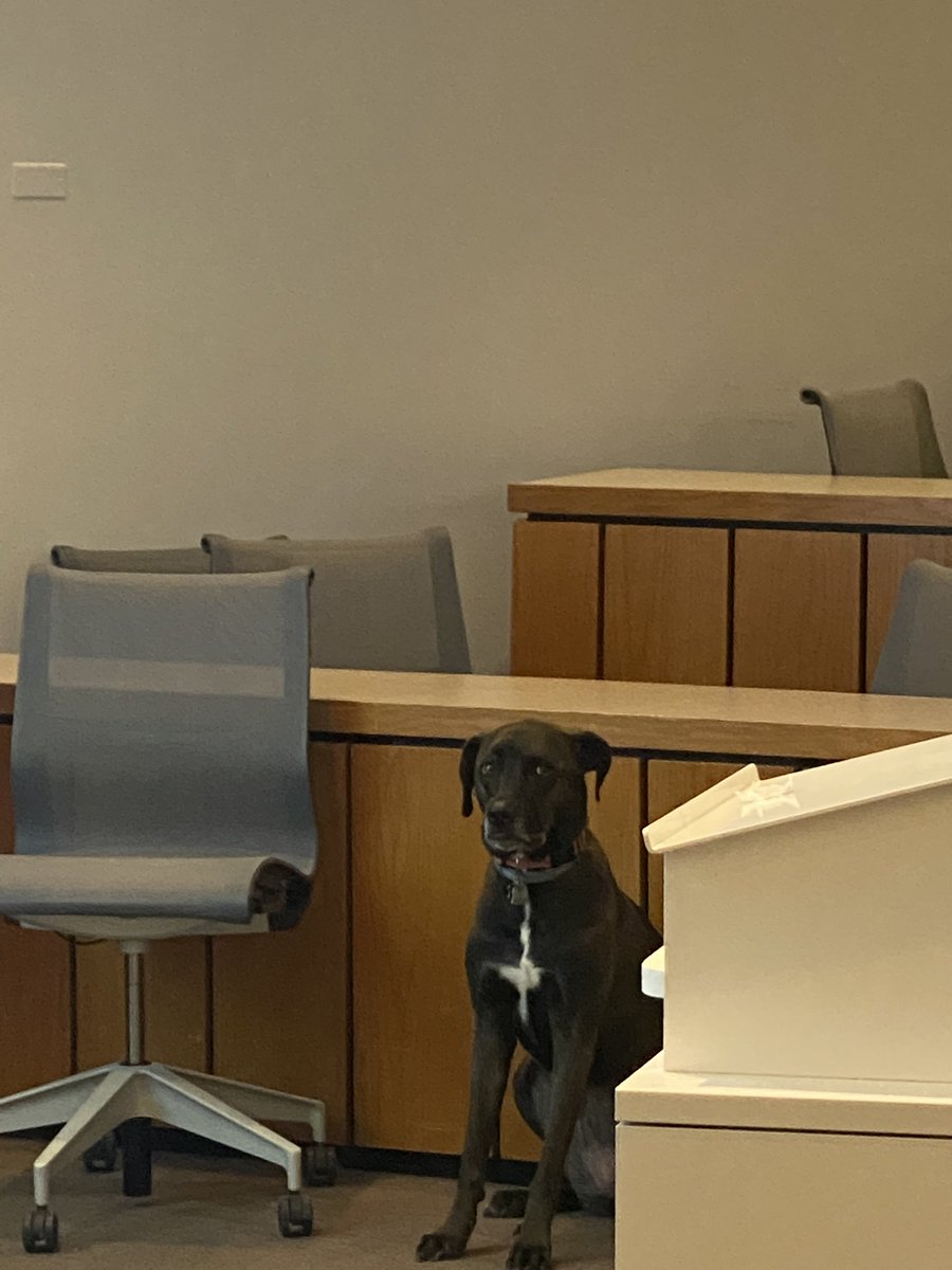 Katherine Buddenhagen tweet media