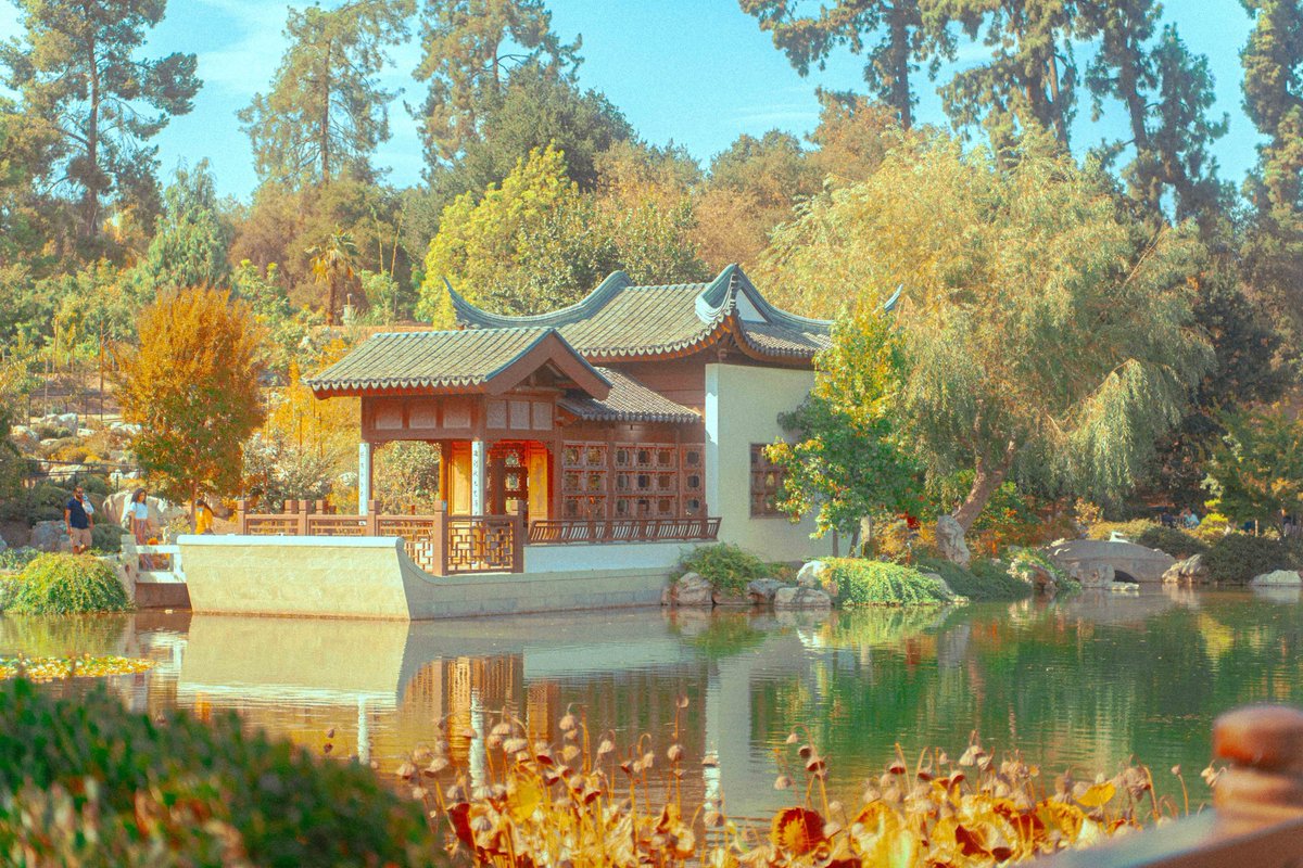 moodydarkroom's tweet image. Photos I’ve taken using daylight