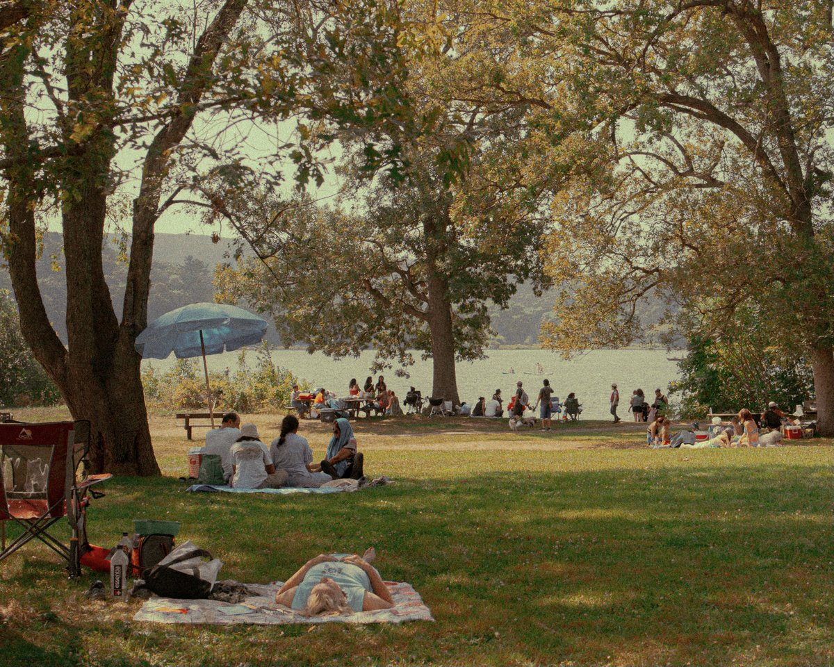 moodydarkroom's tweet image. Photos I’ve taken using daylight