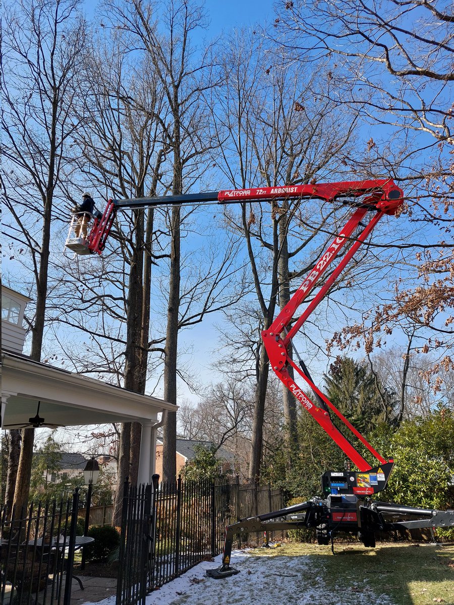 MonsterTreeMD's tweet image. Just a beauty shot off our aerial lift working on a beautiful Christmas winter morning. #pruning #monstertreeservice #MontgomeryCounty #ChevyChase #Potomac