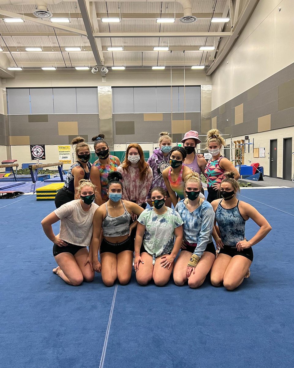 GymnasticsUaa's tweet photo. Happy National Women in Sports Day 💚💛🌊🐺
This sport not only gave these ladies the BEST SPORT to compete but also a chance to create memories, new friendships and be apart of another FAMILY! #oneteamonedreamonefamily #herewecome #uaa #gymnastics @UAASeawolves https://t.co/CfHRNRT1GN