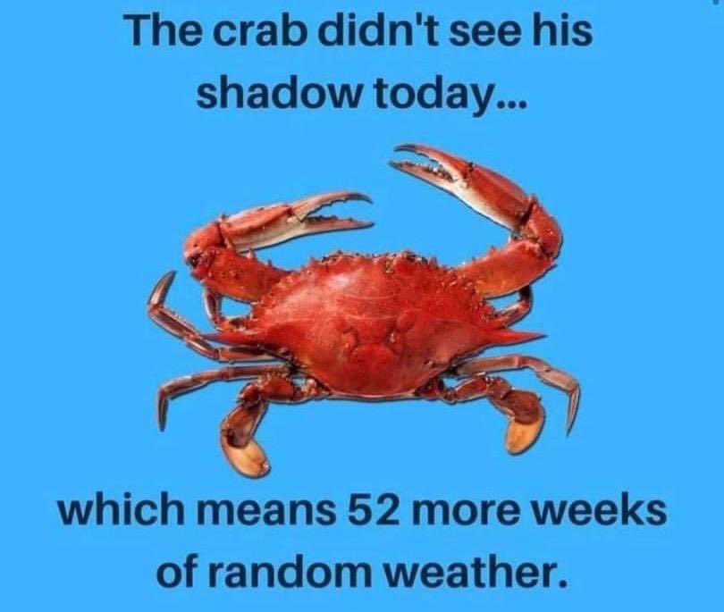 Seems about right. 🦀