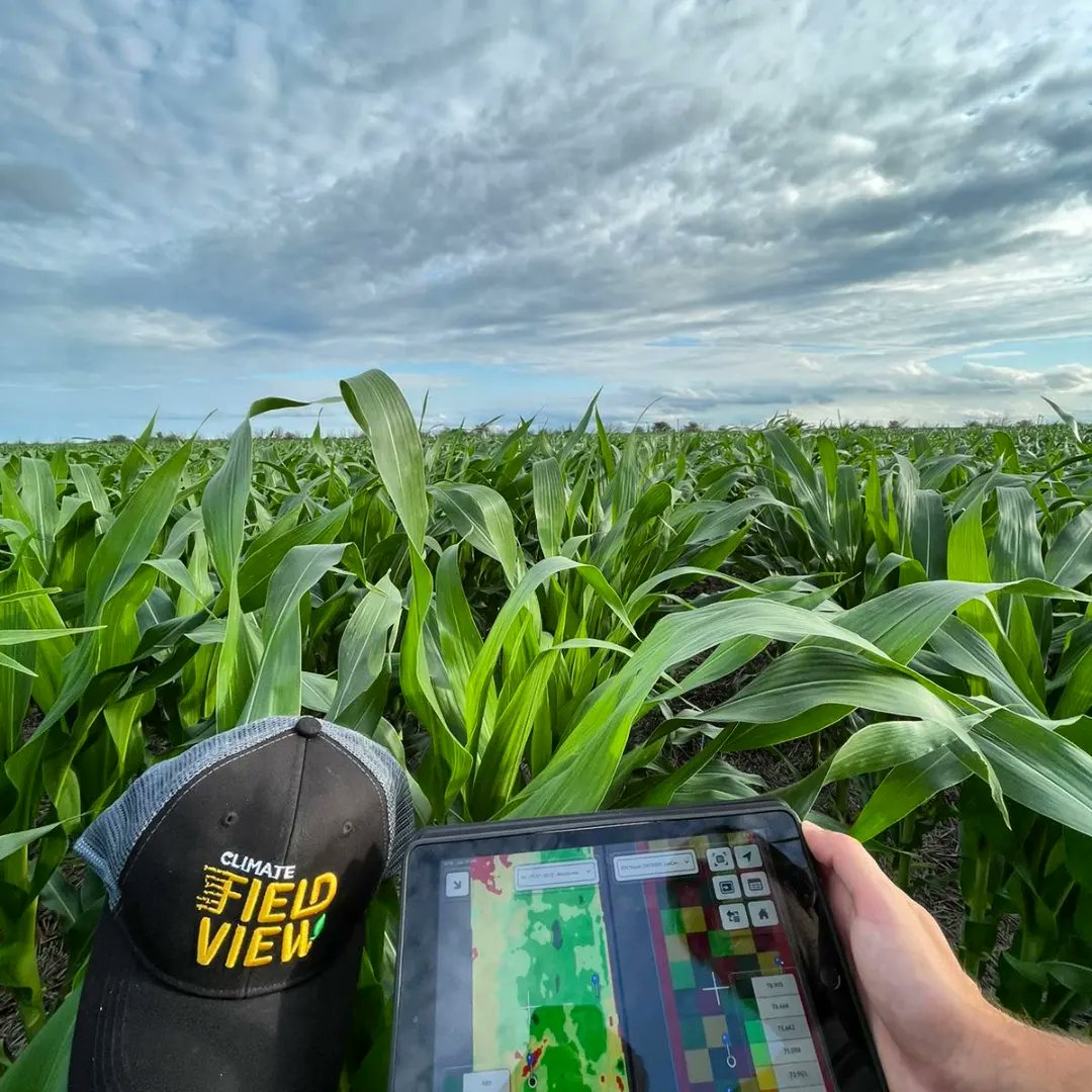 joaconapal's tweet photo. Recorridas de Enero
DK 70-20 Pro4 💣🤯
Alimentando el modelo de prescripciones híbrido específicas
🌽 @DekalbArgentina 
🧑‍💻 @FieldViewArg 
🤓 @Bayer4CropsAR 
💪🏼 @EkunAgroSRL 
#lideresenrelacionamiento https://t.co/OWyEjX2Man