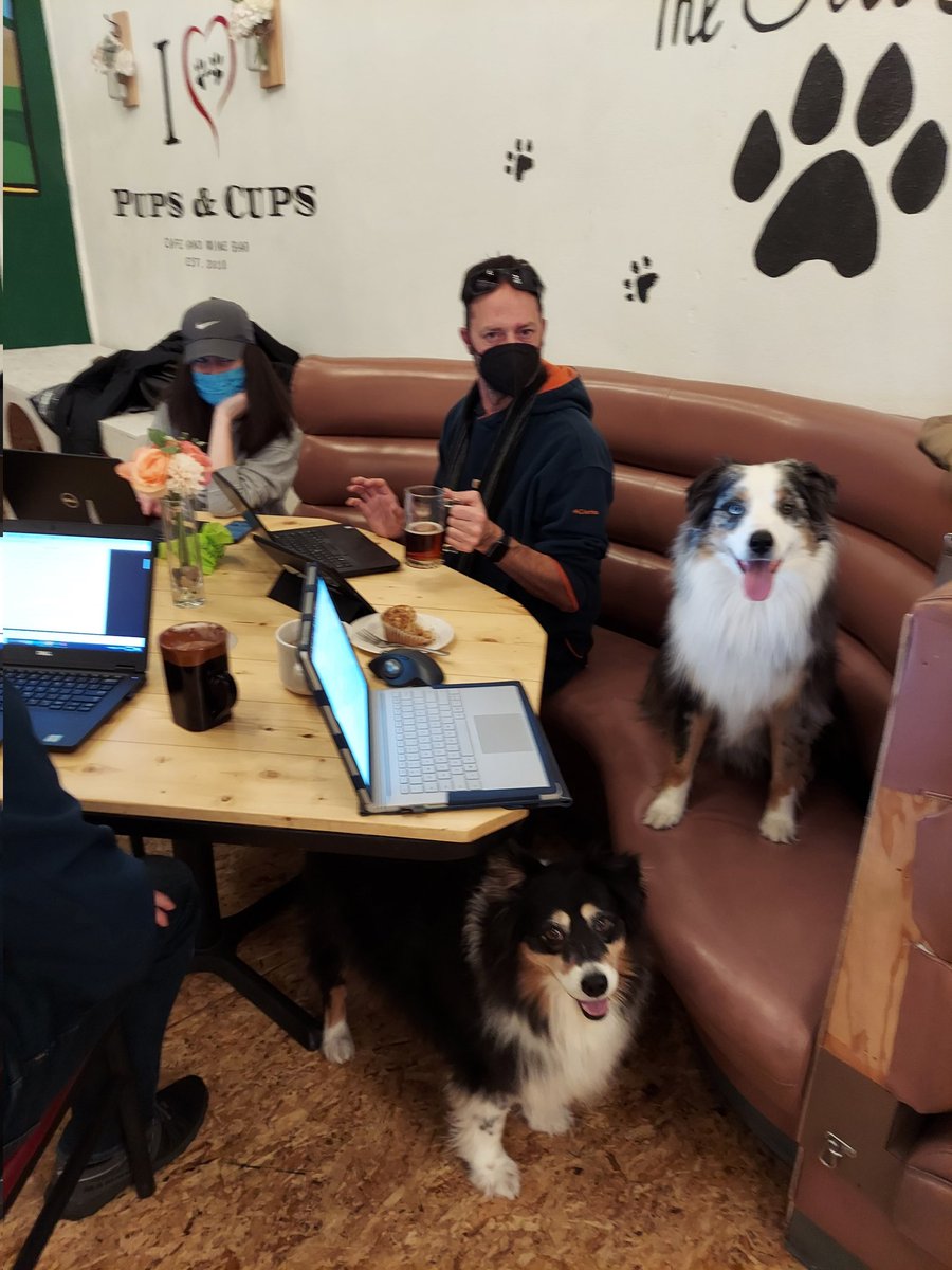 Elizabeth_METER's tweet photo. Round 1 of #GAHarris reviewing! @meter_env Sales and support are hanging out at our local coffee shop with doggos reading your proposals!
#gradstudent #grant #science #somanyproposals https://t.co/3tNAiYf5zc