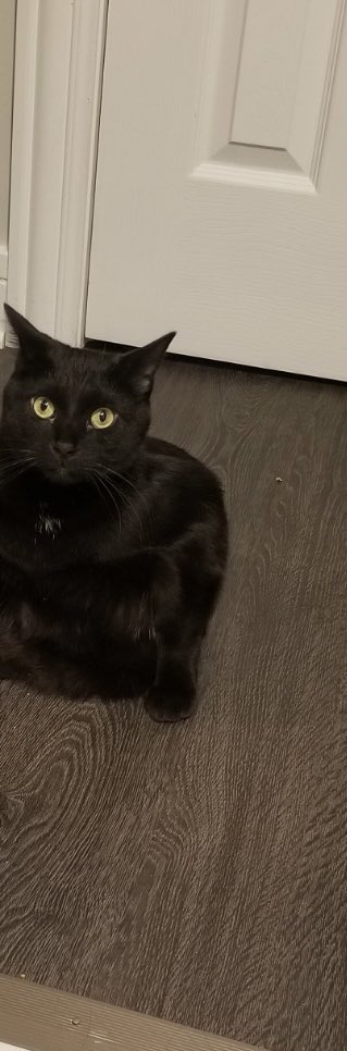 pleaseclapp's tweet image. 