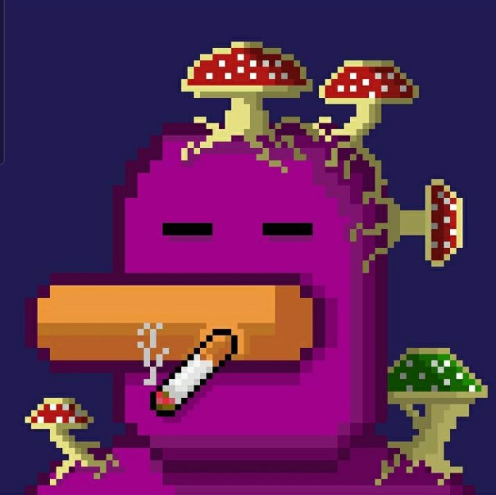 PixelQuacker's tweet photo. @loopify I got NFT's... But idk if they are going ti sell when i launch them 😔😢 https://t.co/k8QbEGdBLL