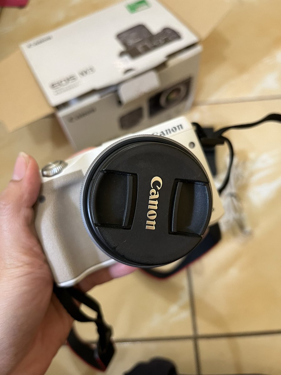 🌸 Nala 🌸 tweet media