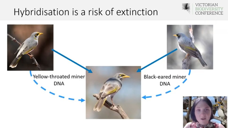VicBioCon tweet media
