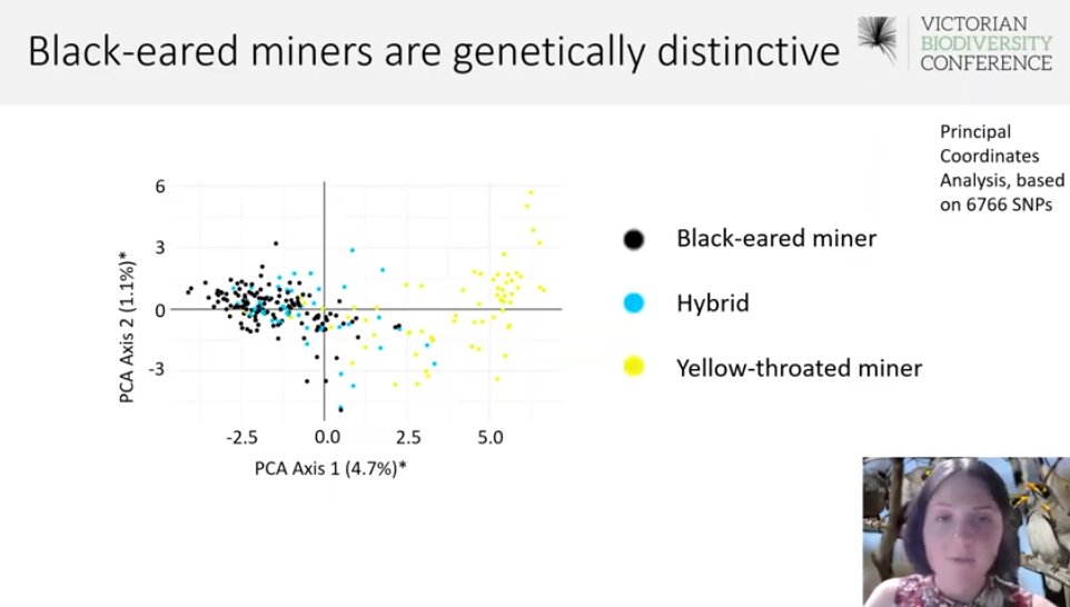 VicBioCon tweet media