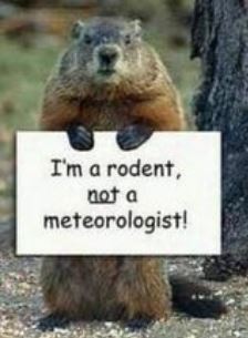 USSSusquehanno1's tweet photo. #dammitJim 
#GroundhogDay https://t.co/97oWeByaN4