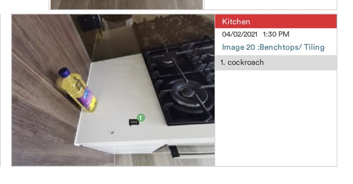 Rae Rodriguez tweet media