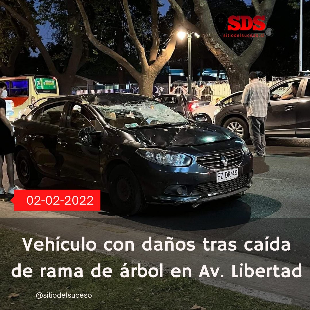 sitiodelsuceso's tweet photo. AMPLIACIÓN VIÑA DEL MAR: Vehículo resulta con daños tras caída de rama de árbol en Av. Libertad, entre 3 y 4 Norte. Alcaldesa @MacaRipa es el segundo caso en 15 días en el mismo sector. Urge revisión de las especies arbóreas para evitar una tragedia. https://t.co/uoUProKYOI