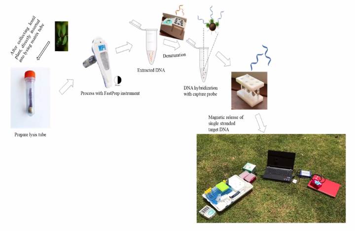 Australasian Plant Pathology Society QLD (@qldapps) on Twitter photo When your diagnostic lab can fit in a suitcase😉 You can connect the instruments up to a car for power. Just one of the many cool things about being a field pathologist! Tune in to Prof Ford's keynote on biosensors: usq.zoom.us/j/89381742568
<a href="/rebecca58070133/">rebecca ford</a>  <a href="/Griffith_Uni/">Griffith University</a> When your diagnostic lab can fit in a suitcase😉 You can connect the instruments up to a car for power. Just one of the many cool things about being a field pathologist! Tune in to Prof Ford's keynote on biosensors: usq.zoom.us/j/89381742568
<a href="/rebecca58070133/">rebecca ford</a>  <a href="/Griffith_Uni/">Griffith University</a>