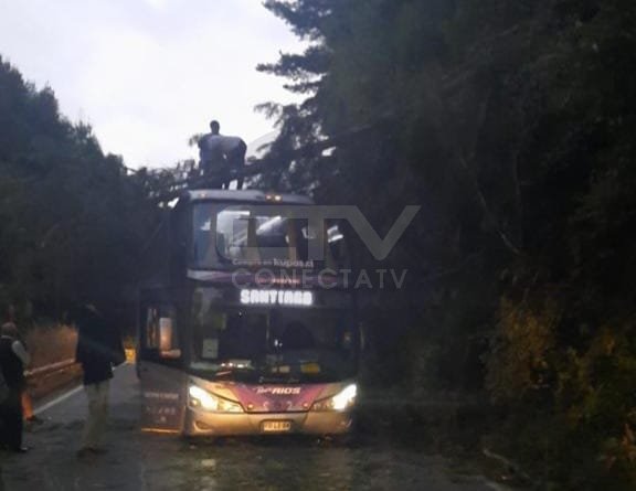 ConectaTV2's tweet photo. CONTULMO | sobre un bus de la empresa Ríos que iba con destino a Santiago, con pasajeros, cayó un árbol que habría sido cortado por desconocidos. Este hecho se registró en el sector de Chan Chan, ruta P60r. No hay lesionados. https://t.co/ftDtufSftq