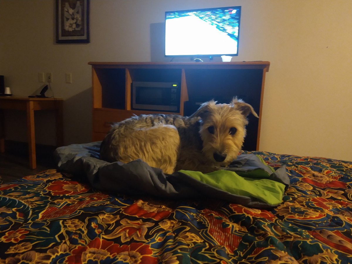 Escaped from storm that is coming and waiting for another great performance from @luka7doncic and <a href="/dallasmavs/">Dallas Mavericks</a>